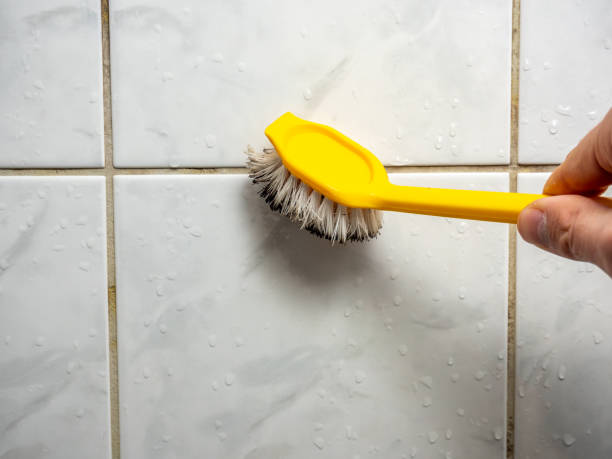 Best Affordable Mold Removal  in Mercerville, NJ