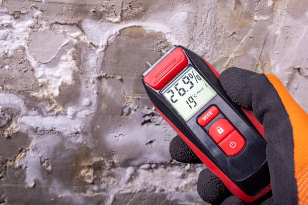 Best Mold Cleaning Services  in Mercerville, NJ