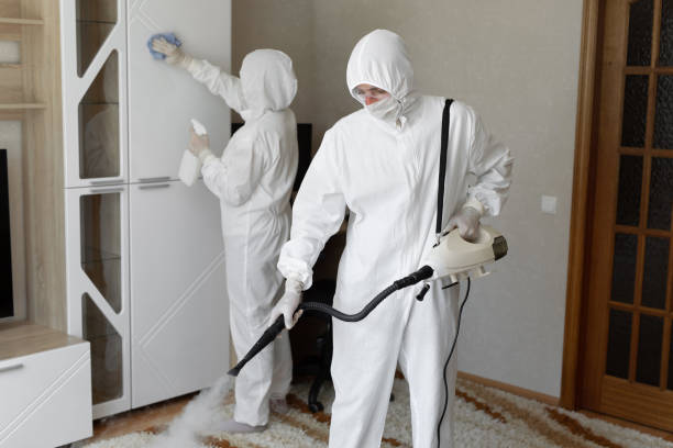 Best Local Mold Removal Service  in Mercerville, NJ