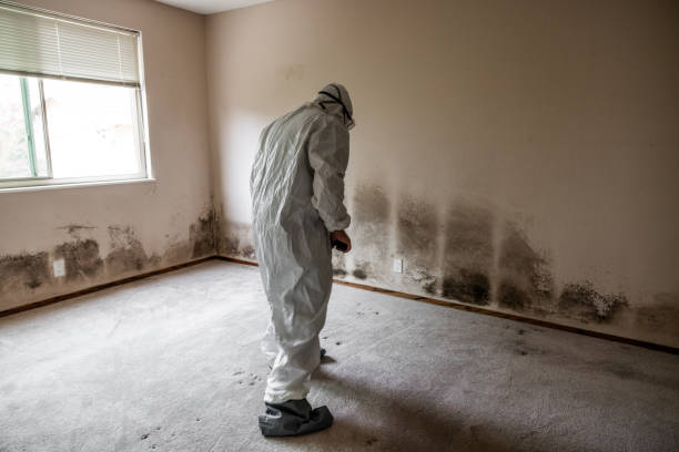 Best Residential Mold Removal  in Mercerville, NJ