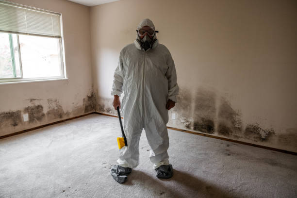 Certified Mold Removal in Mercerville, NJ