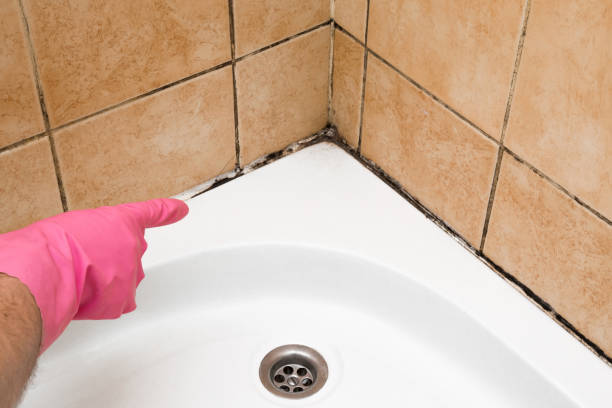 Best Professional Mold Removal  in Mercerville, NJ